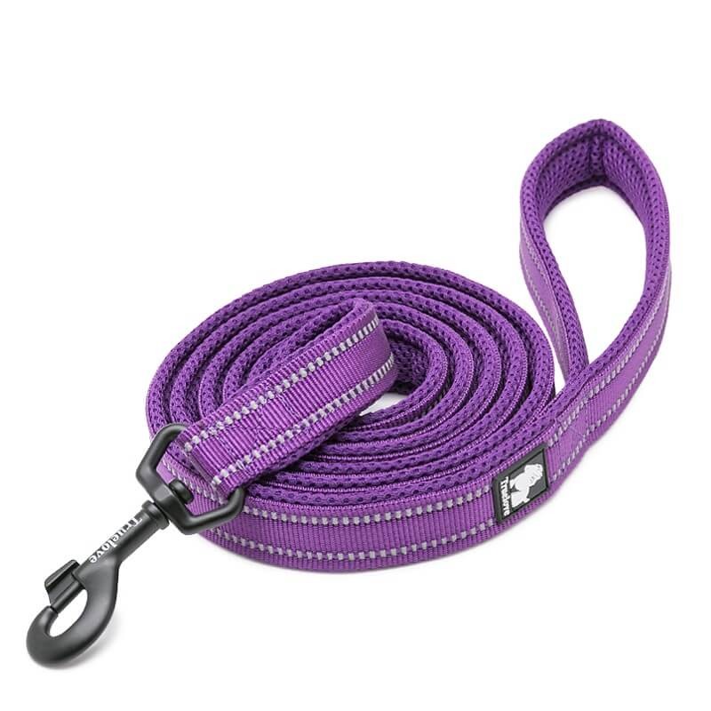 Truelove Active Smycz dla psa fioletowa 200 cm