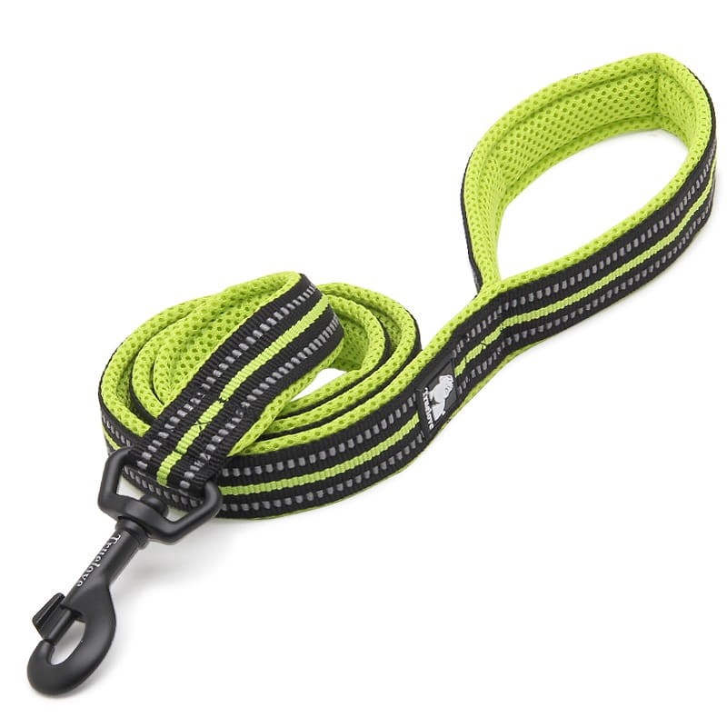 Truelove Active Smycz dla psa zielona 200 cm