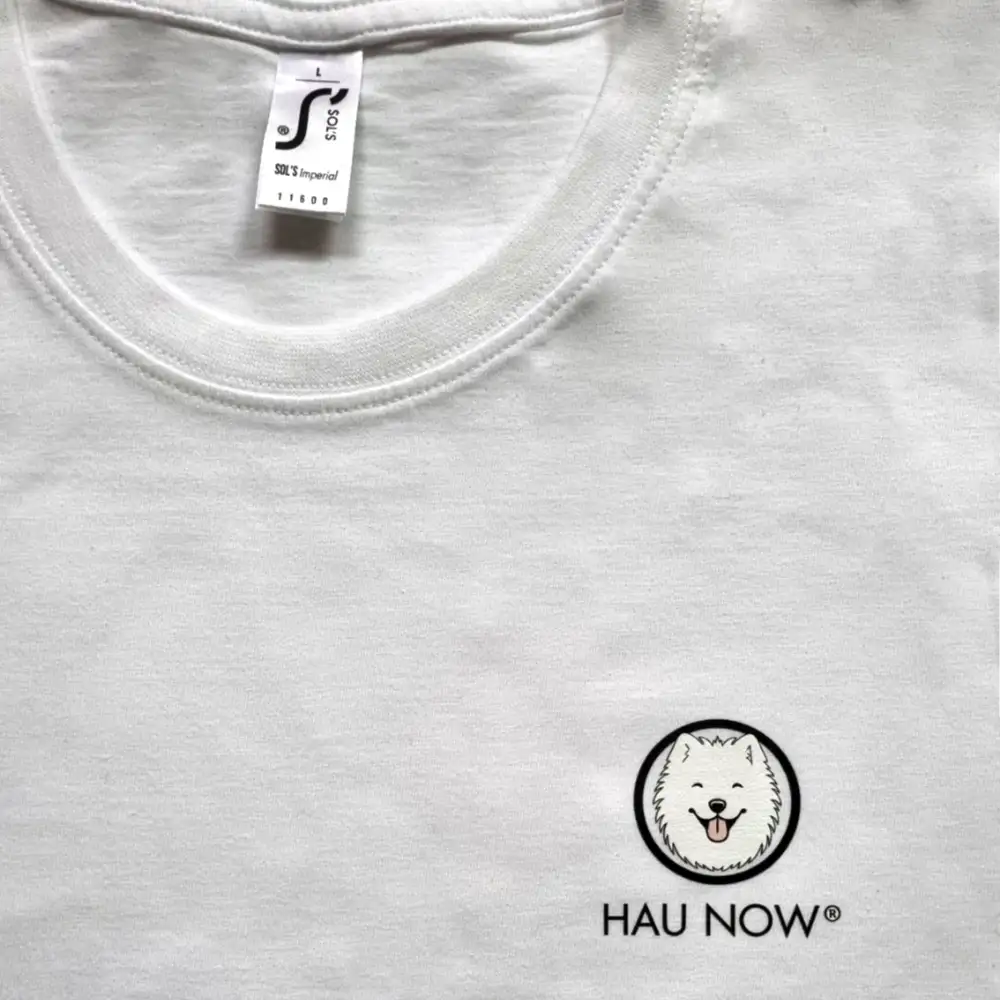 T-shirt męski Hau Now