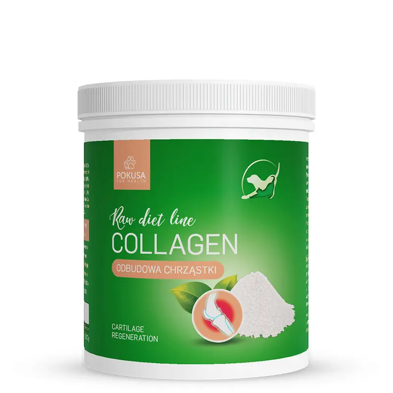 Pokusa RawDietLine Kolagen (Collagen) 200 g